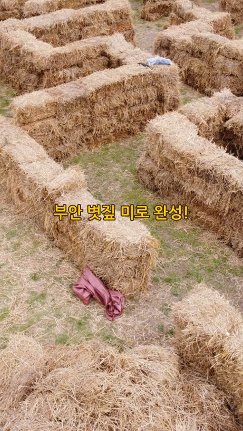간편 만들기 2026. 7. 25.